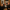 Club 54 Membership - Granddad Jack's Craft Distillery