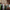 Club 54 Membership - Granddad Jack's Craft Distillery