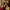 Club 54 Membership - Granddad Jack's Craft Distillery