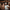 Club 54 Membership - Granddad Jack's Craft Distillery
