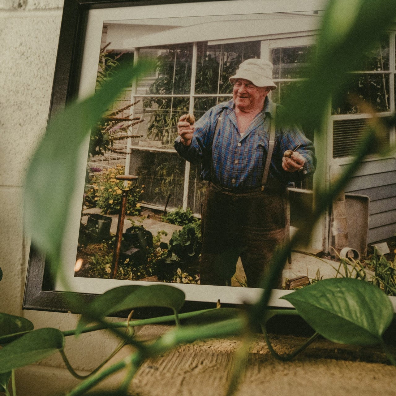 Granddad Jacks Craft Distillery Greenhouse Gin