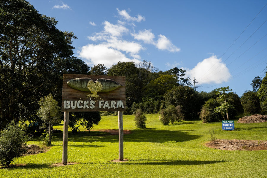 Yuzucello 2025 - Granddad Jack's Craft Distillery