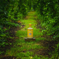 Thumbnail for Granddad Jack's Craft Distillery 500ml Bottle Hoppy Day's Gin